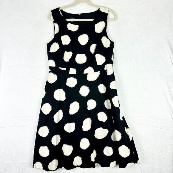 Talbots Large Polka Dot Fit and Flare Dress Size 12 Cotton Stretch Sleeveless - Picture 1 of 6